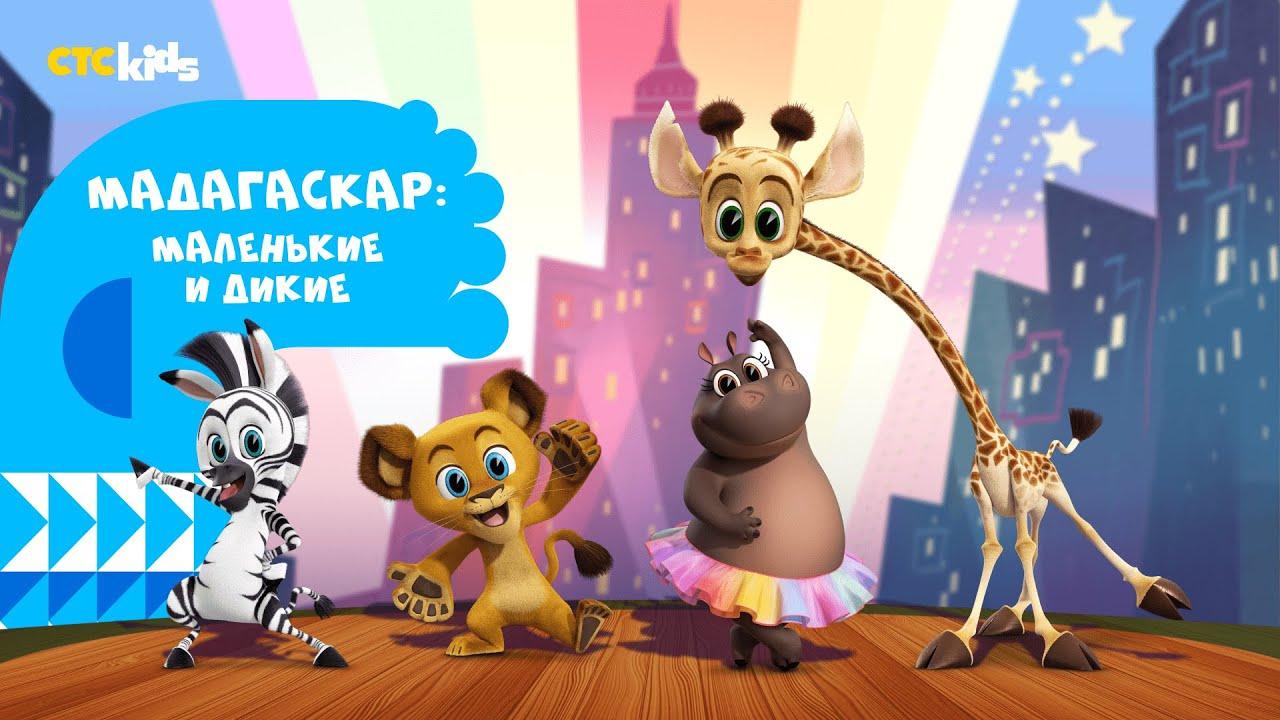 Мадагаскар: Маленькие и дикие